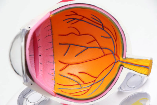 eye-sculpture